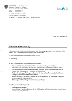 Ausschreibung Stabstelle IKI (pdf 454 KB)