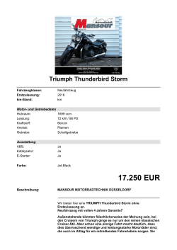 Detailansicht Triumph Thunderbird Storm