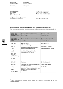 Verhandlungsplan Plan des audiences