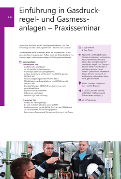 PDF, 175 KB - Thüringer Energie