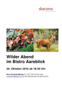 Flyer Wilder Abend im Bistro