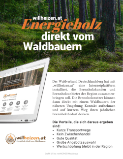 „willheizen.at“ eine Internetplattform installiert, die Brennholzkunden