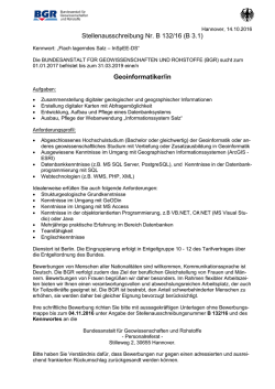 B132/16 Flach lagerndes Salz – InSpEE-DS (PDF - BGR