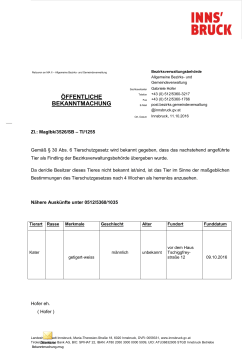 Findling, Kater getigert-weiss, Fundort vor dem Haus Tschiggfreystr