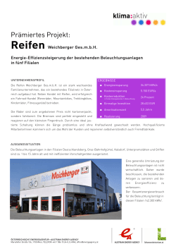 Reifen Weichberger Ges.m.b.H. 2011 (PDF 237,2 kB)