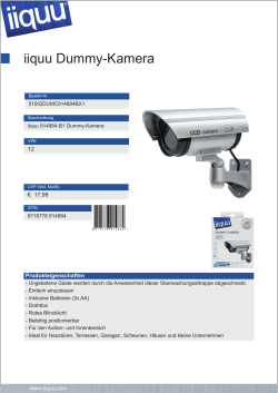 iiquu Dummy-Kamera