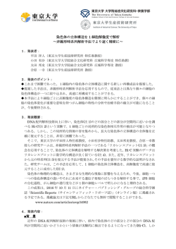 染色体の立体構造を1細胞解像度で解析～非線形時系列解析手法でより