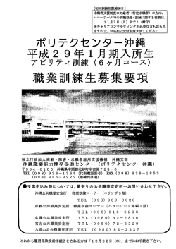 募集要項（PDF：263KB）