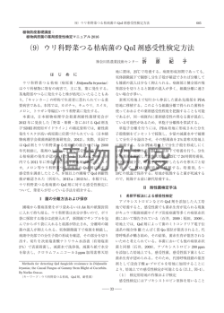 （9）ウリ科野菜つる枯病菌の QoI 剤感受性検定方法