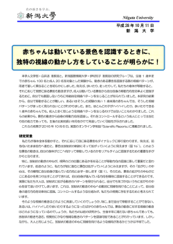 詳細はこちら（PDF:716KB）