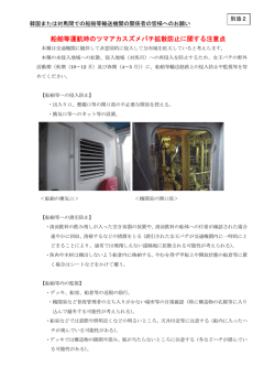 船舶等運航時のツマアカスズメバチ拡散防止に関する注意点