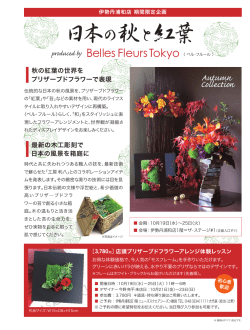 日本の秋と紅葉 - ベル・フルール