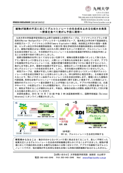 植物が硫黄の不足に応じてグルコシノレートの生合成を止める