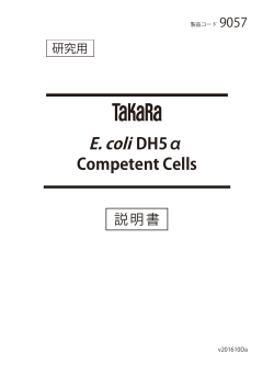 E. coli DH5α Competent Cells