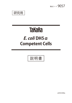 E. coli DH5&alpha; Competent Cells