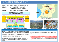 モデル調査実施団体の概要 （3）