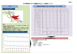 王子東地区における施設を中心とした現況について（PDF：229KB）