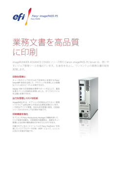 imagePASS-P1 Server