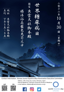 世 界 糖 尿 病 日