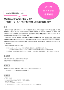 募集案内 [PDFファイル／138KB]