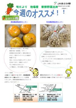 旬だより 地場産 新鮮野菜出