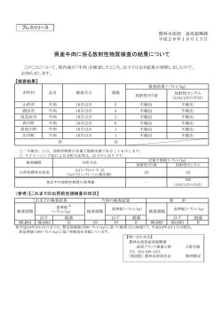 プレスリリース資料 (PDF documentファイル サイズ： 171Kb)