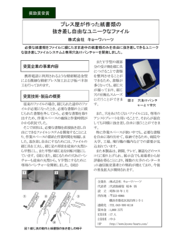 プレス屋が作った紙書類の 抜き差し自由なユニークなファイル