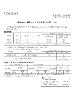 プレスリリース資料 (PDF documentファイル サイズ： 169Kb)