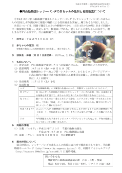 円山動物園レッサーパンダの赤ちゃんの性別と名前投票について（PDF