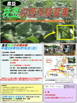 枝豆収穫体験