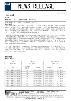 栃木県の発行体格付AA+[ネガティブ]を維持