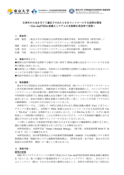 生体外から光を当てて遺伝子のはたらきをコントロールする技術を開発