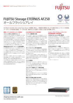 ETERNUS AF250カタログ
