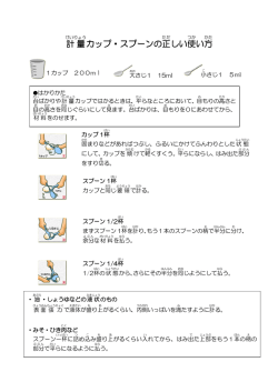 計量スプーンの使い方（PDF：195.4KB）
