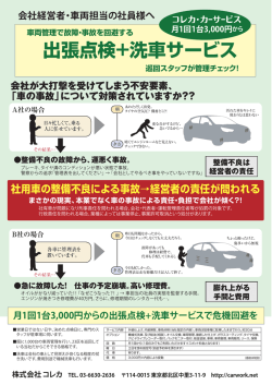 出張点検+洗車サービス