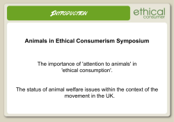 英語 - エシカル消費と動物への配慮を考えるシンポジウム
