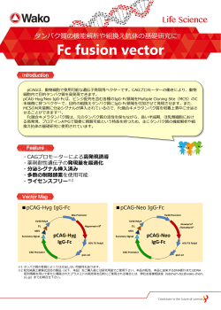 Fc fusion vector