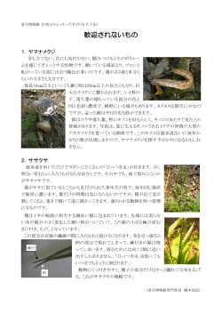 歓迎されないもの