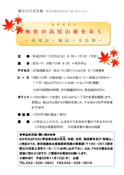 森林浴登山 晩秋の高尾山稜を歩く