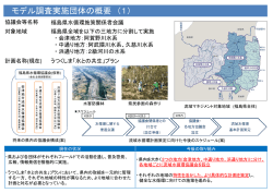 モデル調査実施団体の概要 （1）