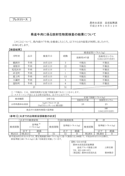 プレスリリース資料 (PDF documentファイル サイズ： 173Kb)