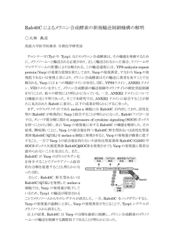 要旨はこちらをご覧ください