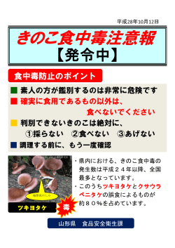 きのこ食中毒注意報 - 山形県ホームページ
