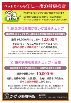 ペットちゃんも年に一度の健康検査
