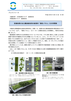 プレスリリースPDF版（防藻効果のある養液栽培用の新素材「黒色パネル