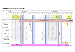 分科会等スケジュール（案）[PDF：226KB]