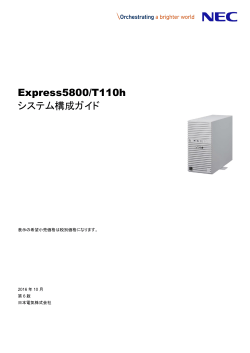 Express5800/T110h システム構成ガイド