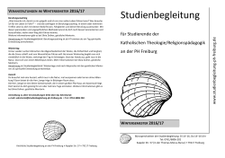 Flyer - Studienbegleitung PH Freiburg