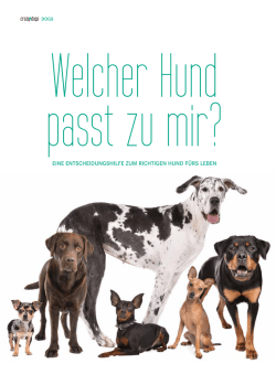 eine entscheidungshilfe zum richtigen hund f&uuml;rs leben