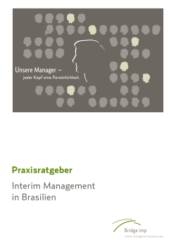 Interim Management in Brasilien Praxisratgeber